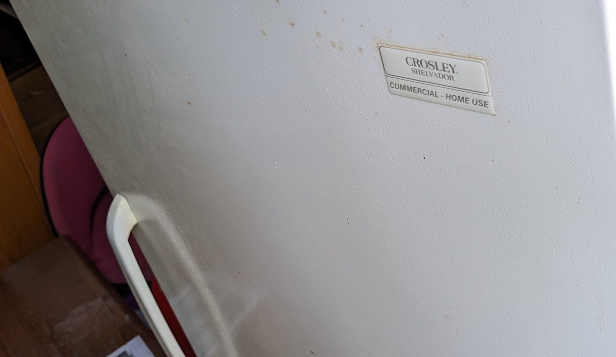 PXL_20240531_133322471