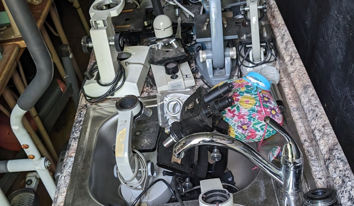 PXL_20240531_133626101