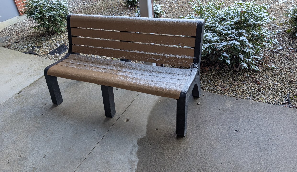 PXL_20241211_152753322