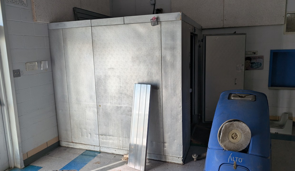 PXL_20241211_154556607