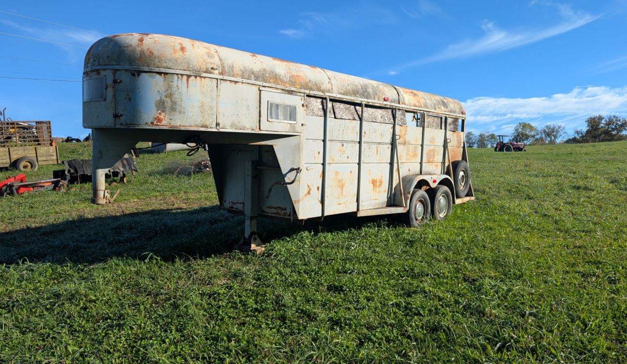 wp-17609750127597354155705070165176