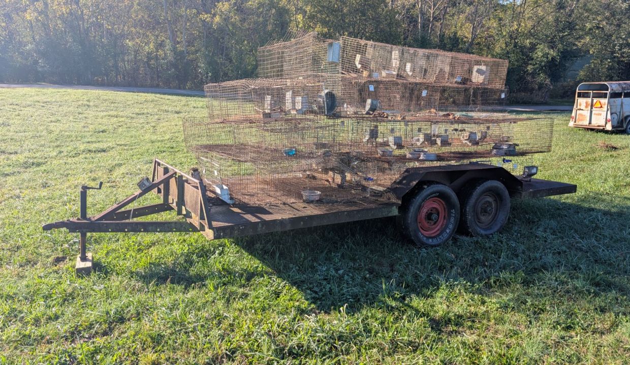 wp-17609751022563348791120691232988