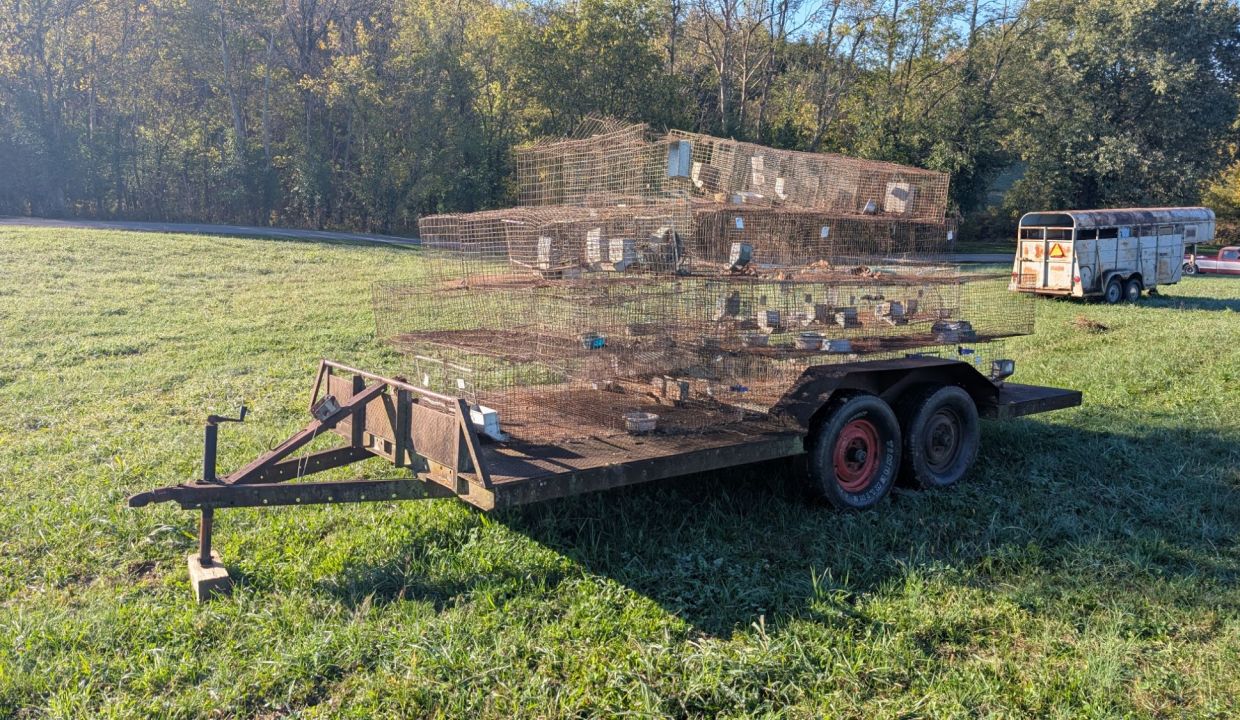 wp-17609751040518943594474067535086