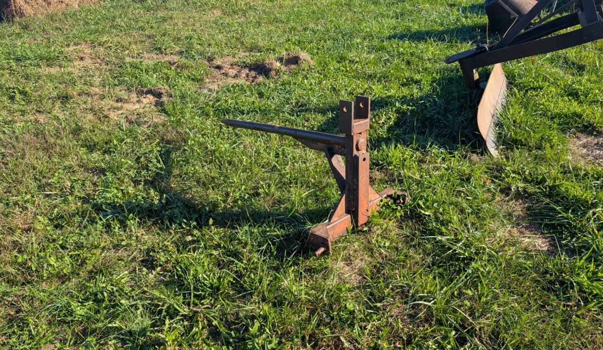 wp-17609751042817602847948450329905