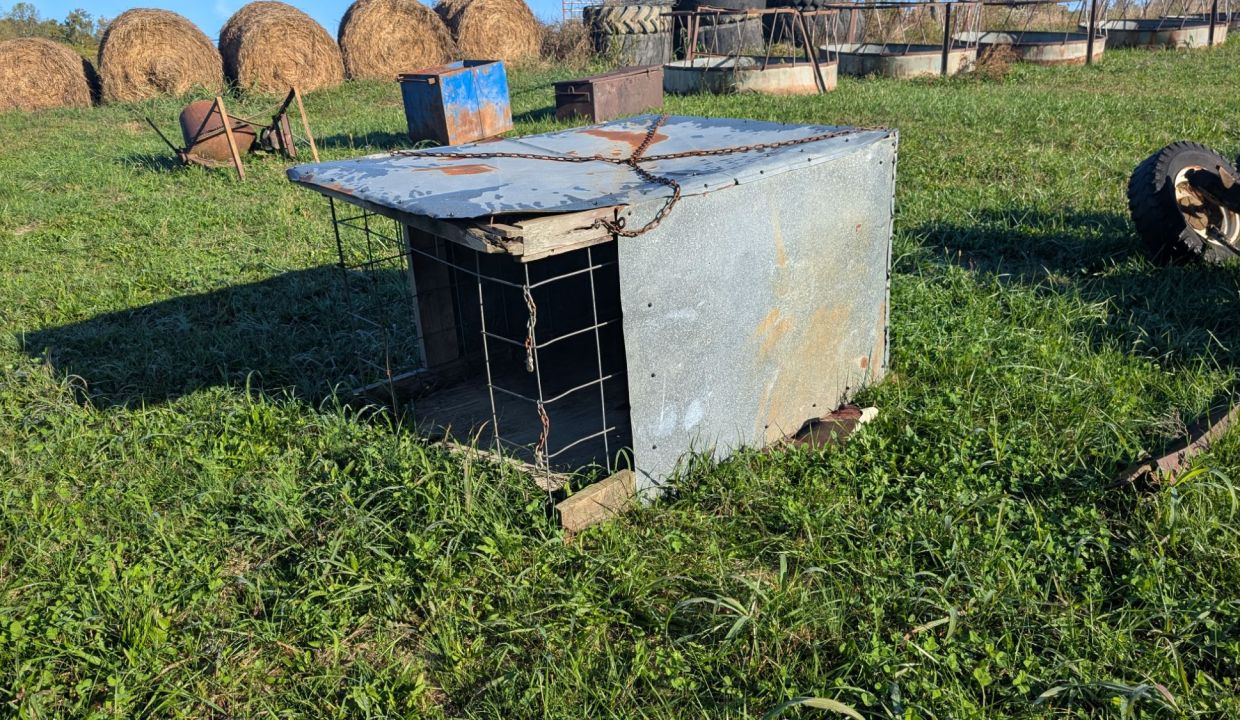 wp-17609751044104181885552943098396