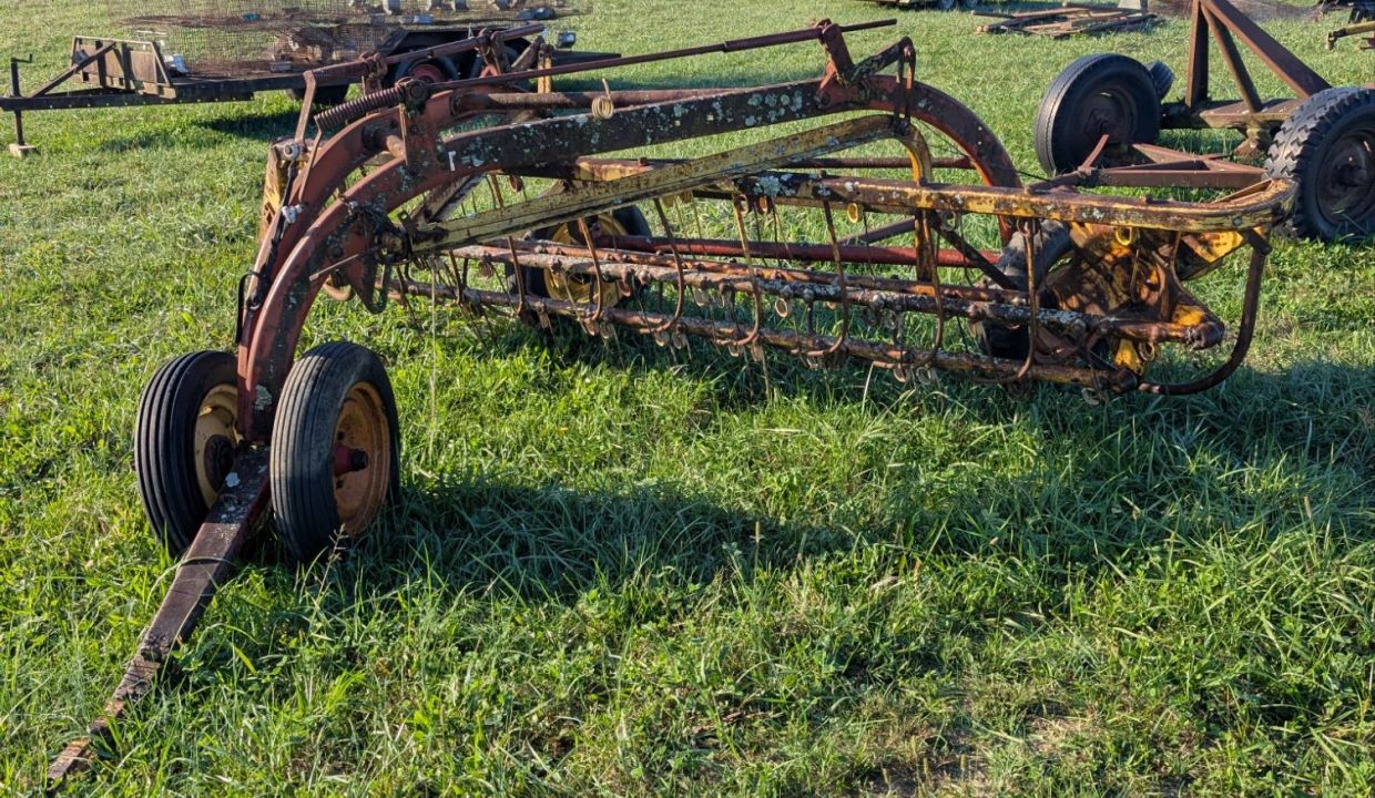 wp-1760975105302622278028869234659