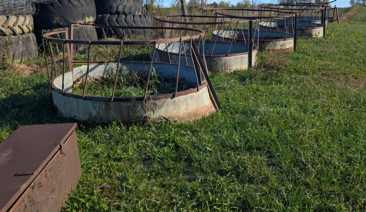 wp-17609751056215212687583965767603